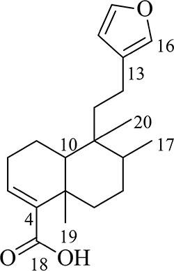 Leishmanicidal Potential of Hardwickiic Acid Isolated From Croton sylvaticus